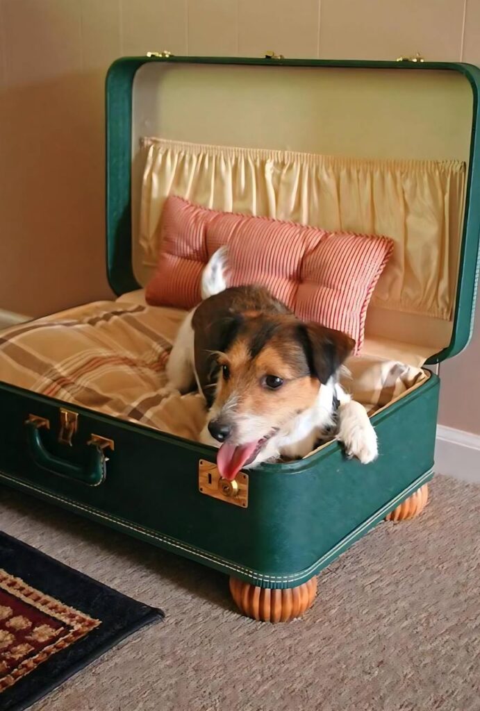  Upcycling Criativo mala velha se torna em uma cama aconchegante para seu amigo peludo.
