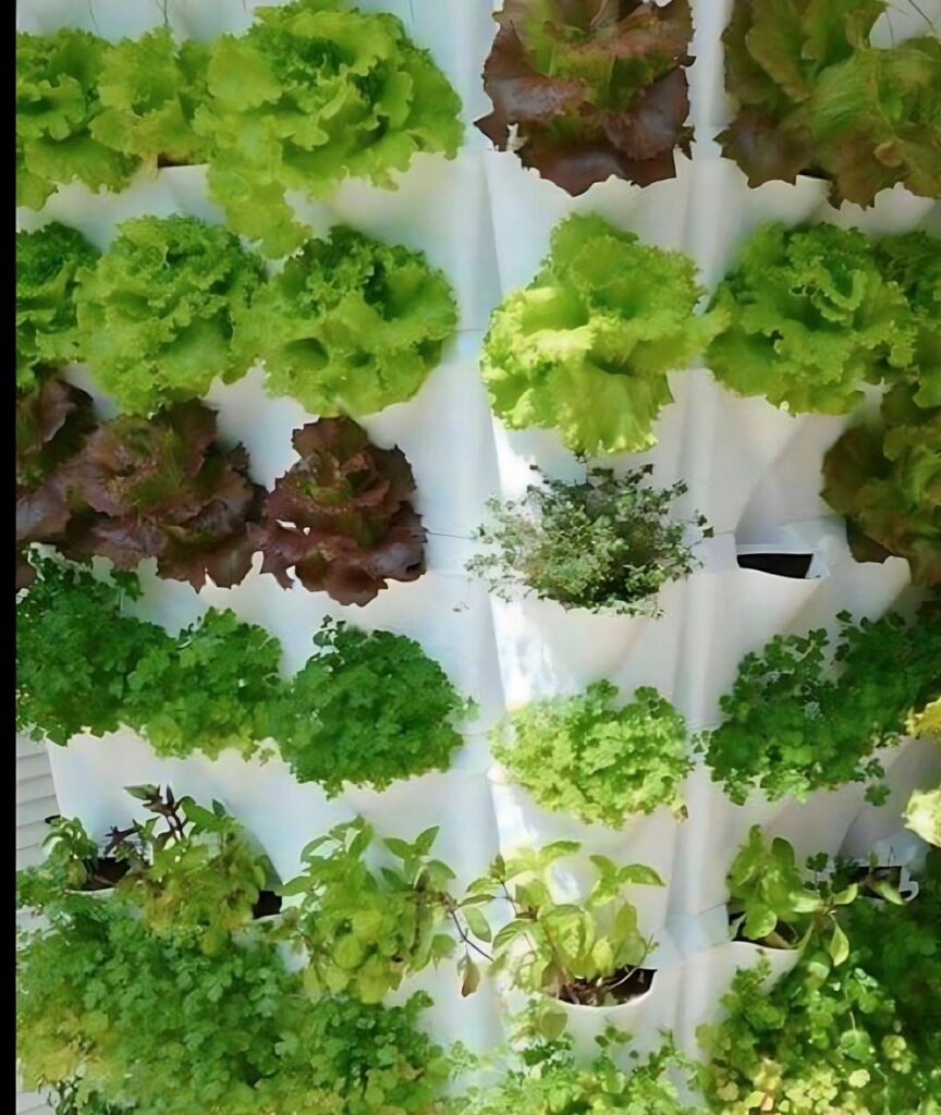Cultivo aeropônico vertical de hortaliças e temperos em estrutura modular, ideal para apartamentos e áreas com pouco espaço.