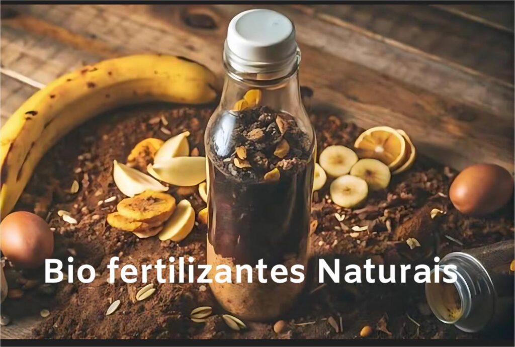 Biofertilizantes naturais feitos em casa com cascas de frutas e restos orgânicos em garrafa de vidro