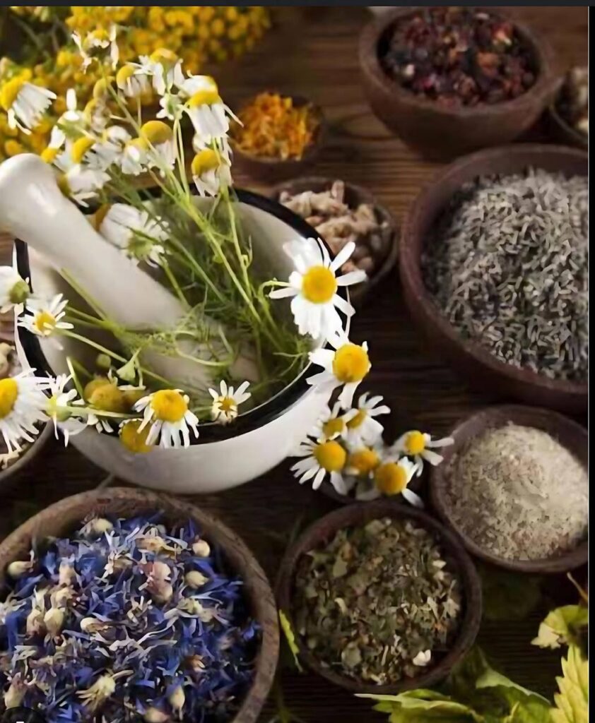 Ingredientes naturais como camomila, lavanda e flores secas usados em banhos de ervas para relaxamento e bem-estar.
